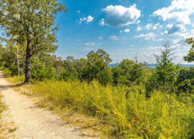 Property at Tract 3 Mc 8025, Peel, AR 72668
