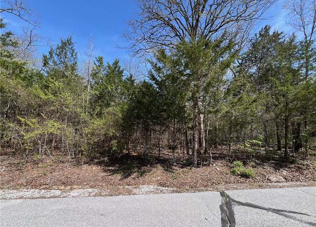 Property at TBD Larchwood Dr, Diamond City, AR 72644