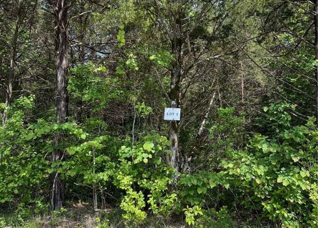 Property at Tract 1 Hammerschmidt Rd, Lead Hill, AR 72644