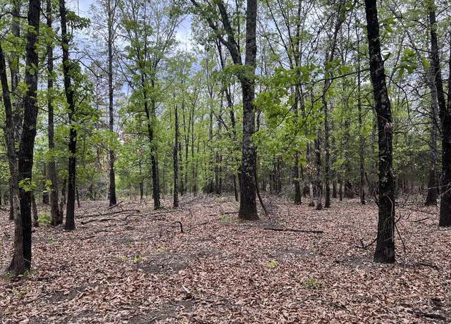 Property at 1 Eclipse Rd, St. Joe, AR 72675