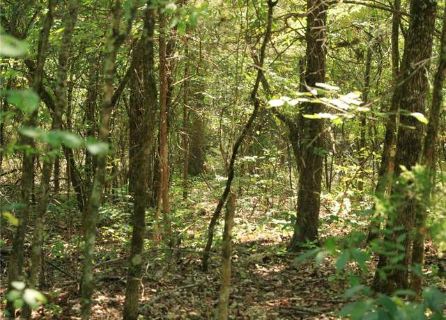 Property at 201 E Bo Peep Cir, Horseshoe Bend, AR 72512