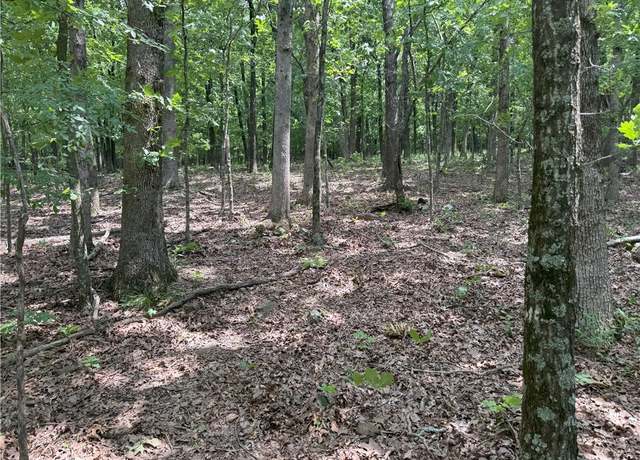 Property at 000 Cr 284/ Four Cors, Canehill, AR 72717