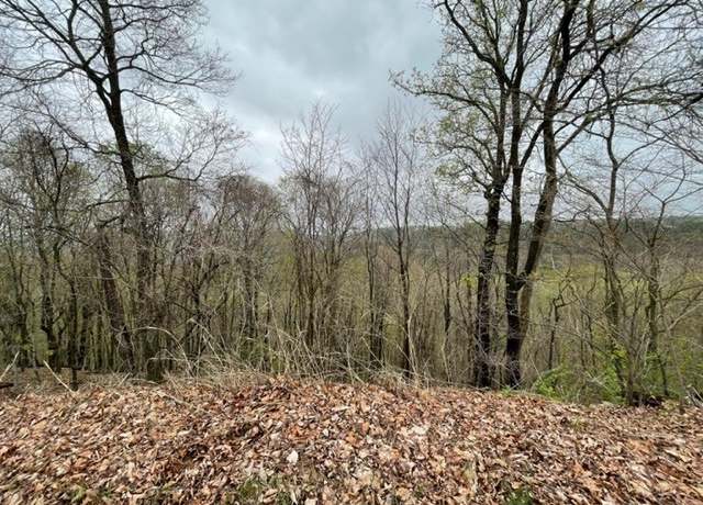 Property at 62 Cypress Point Ln, Holiday Island, AR 72631