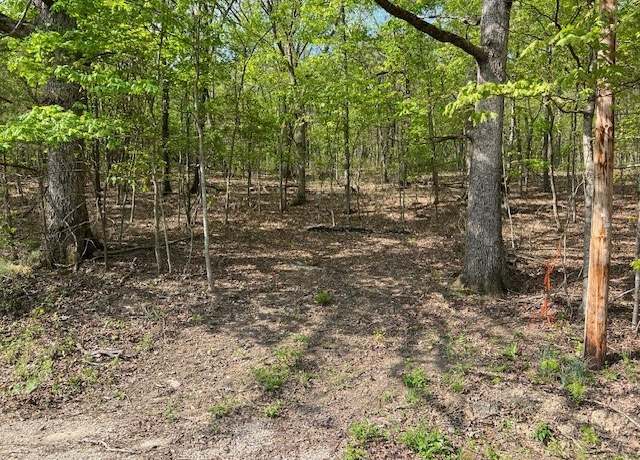 Property at 33 Venus Ave, Holiday Island, AR 72631