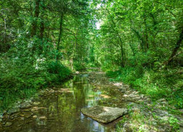 Property at County Road 231, St. Joe, AR 72675