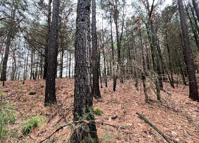 Property at 613 Gaskill St, Huntsville, AR 72740