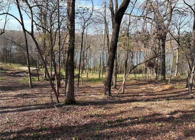 Property at Tract 61 Horseshoe Ln, Rogers, AR 72756