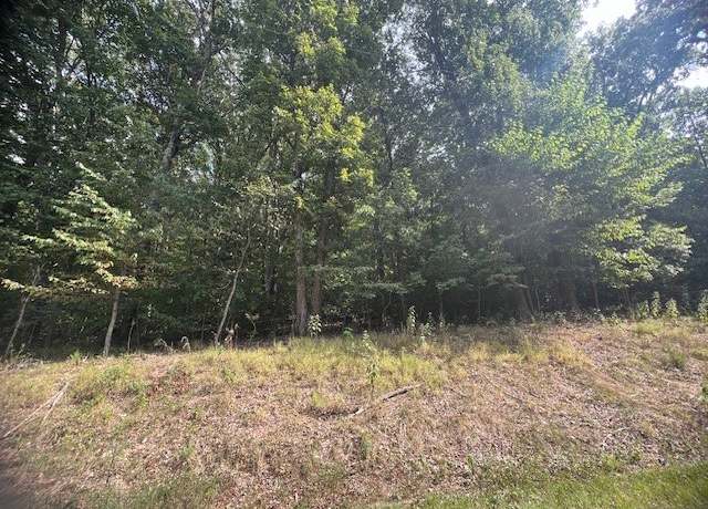 Property at 11 Tempest Ln, Holiday Island, AR 72631