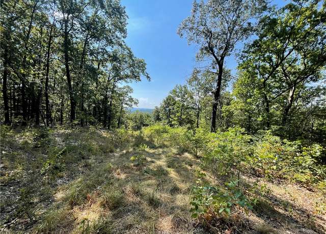Property at 00 Nc Rd 4200, Western Grove, AR 72685