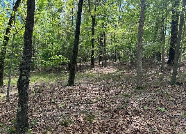 Property at 166 Mallard Ter, Flippin, AR 72634