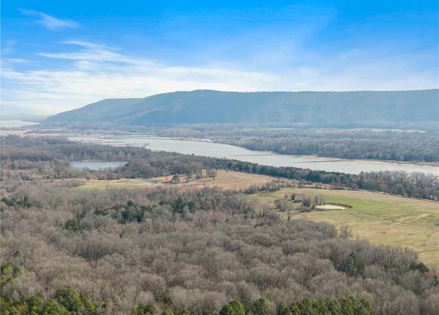Property at 000 Hwy 105, Atkins, AR 72823