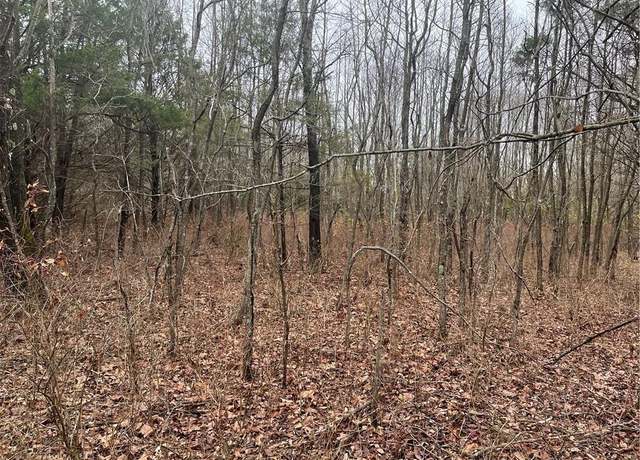 Property at Lot 17 - Block 1 Oniell Cir, Bella Vista, AR 72715