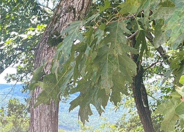 Property at TBD Holiday Island Dr, Holiday Island, AR 72631