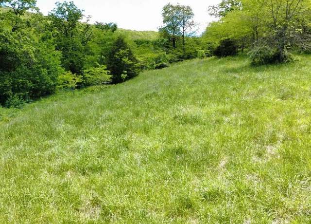 Property at 530 Cr-605, Green Forest, AR 72638