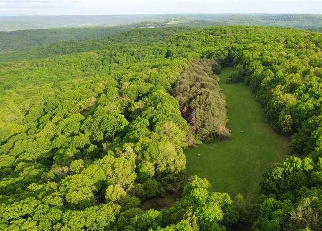Property at 163 Acres Low Gap Rd, West Fork, AR 72774