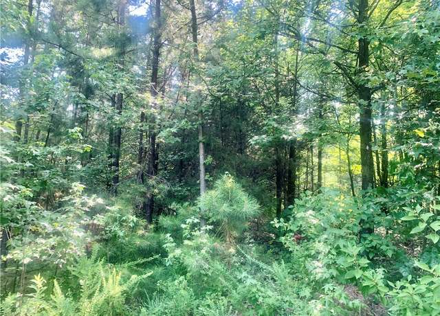 Property at Doe Ln, Dover, AR 72837