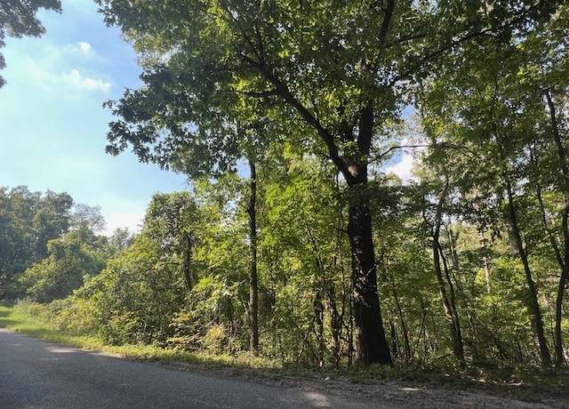 Property at 89 & 91 Sunrise Ave, Holiday Island, AR 72631