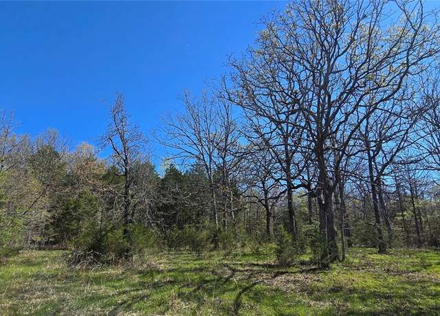 Property at 0000 Wilderness Springs - Tract  Ccccc Trl, Lead Hill, AR 72544