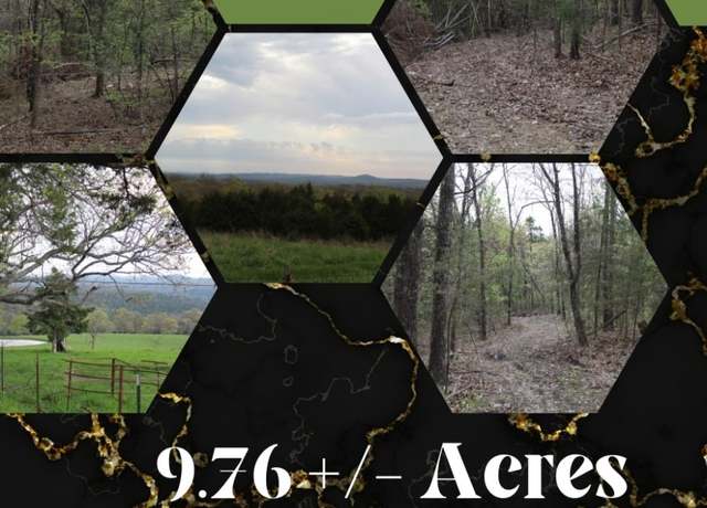 Property at 000 Lone Pilgrim, Taneyville, MO 65759