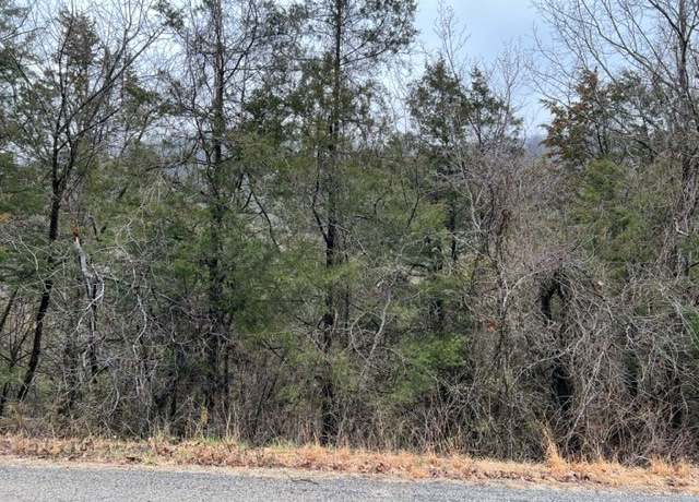 Property at 50 Wild Turkey Dr, Holiday Island, AR 72631