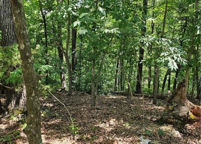 Property at Blueberry Ln, Lowell, AR 72745