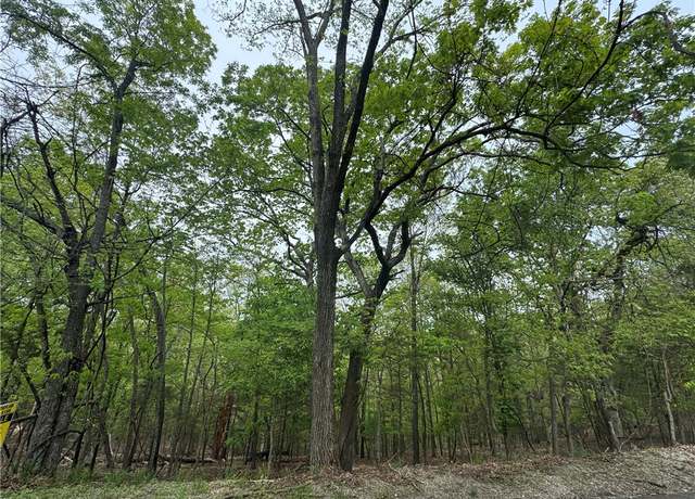 Property at L75 W Airport Dr, Garfield, AR 72732