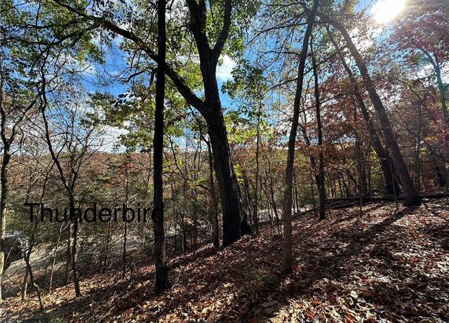 Property at Lot 13 Thunderbird Dr, Holiday Island, AR 72631