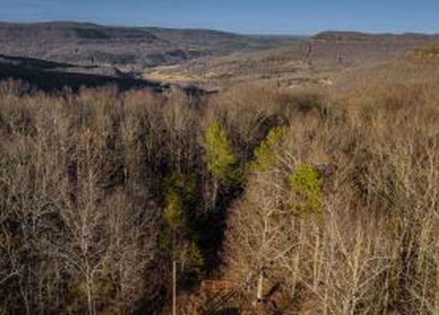 Property at Nc 8482, Deer, AR 72628