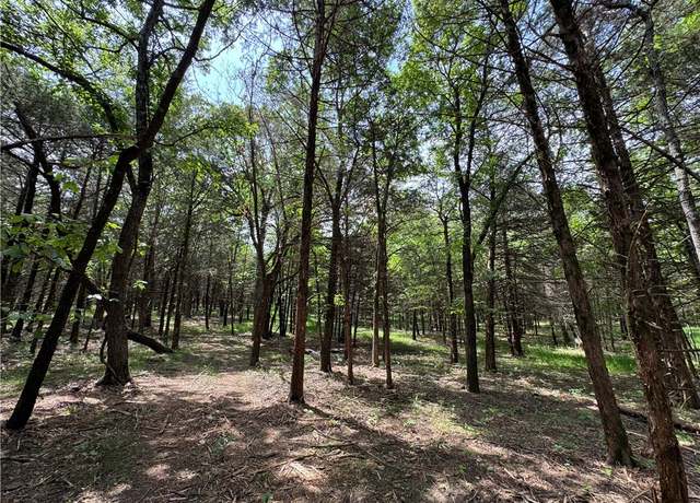 Property at Tract 3a Downing Rd, Elkins, AR 72727