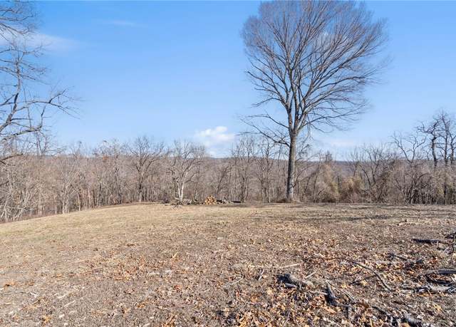 Property at Lots 6,7,8 Mystic Warrior Rd, Garfield, AR 72732