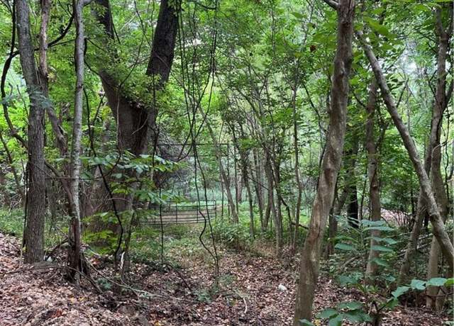Property at Gum Springs Rd, Parthenon, AR 72666