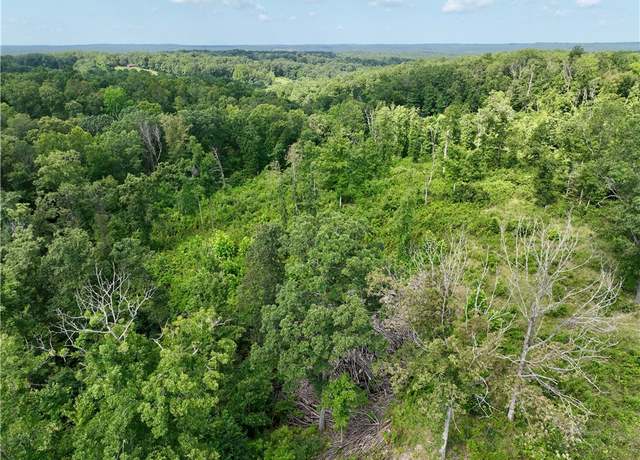 Property at TBD Songbird Rd, Center Township, MO 65730