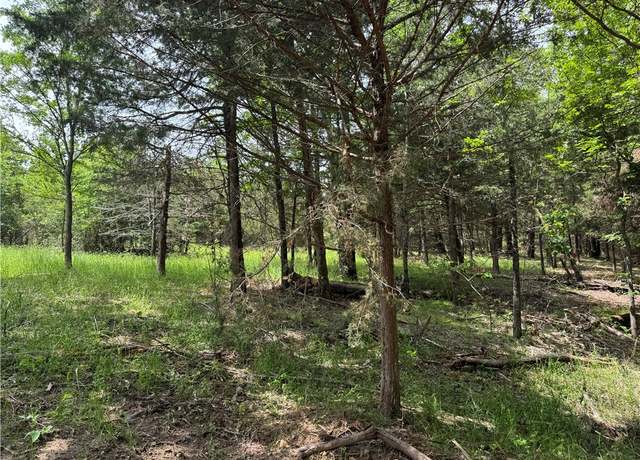 Property at Tract 2b Downing Rd, Elkins, AR 72727
