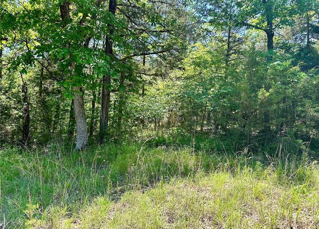 Property at 39 Dove Ln, Holiday Island, AR 72631