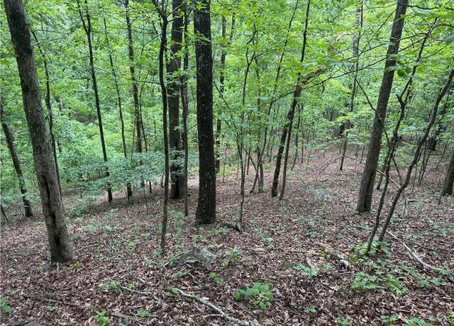 Property at Tract 1 Nc 7540, Ozone, AR 72854