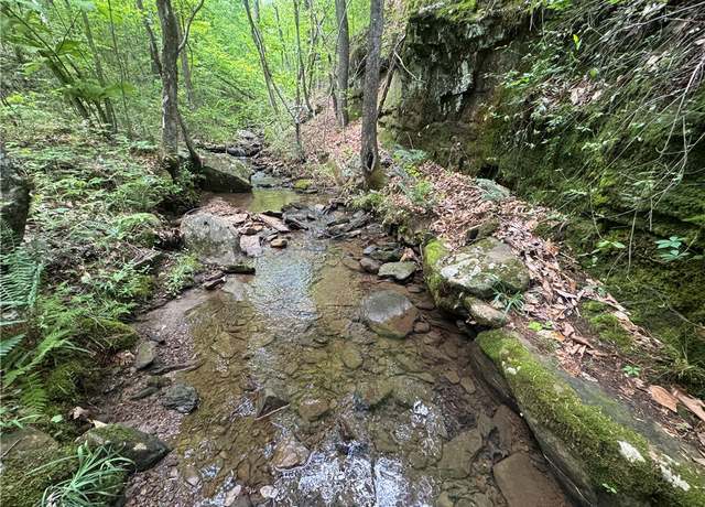 Property at Tract 1 Nc 7540, Ozone, AR 72854
