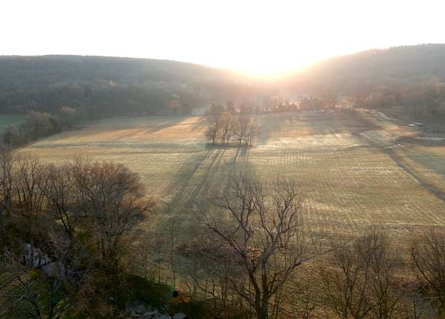 Property at 14774 Cove Creek Rd, Prairie Grove, AR 72753