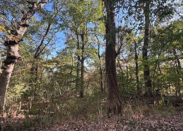 Property at 7 Sycamore Ln, Holiday Island, AR 72631