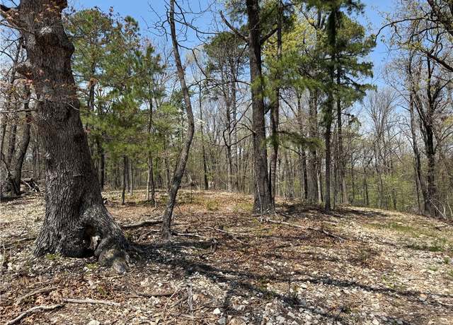 Property at TBD Cr 1027, Eureka Springs, AR 72632