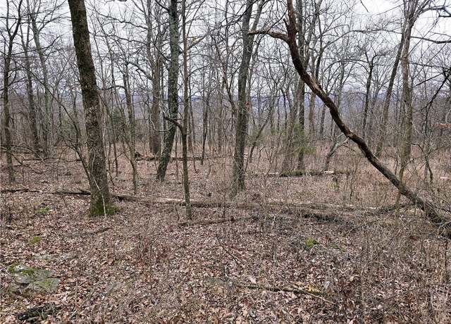 Property at 0 Hale Mountain Rd, Canehill, AR 72717