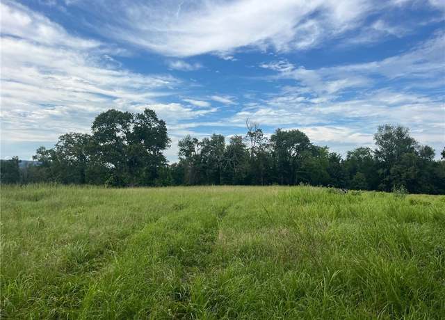 Property at St Joe, Atkins, AR 72823