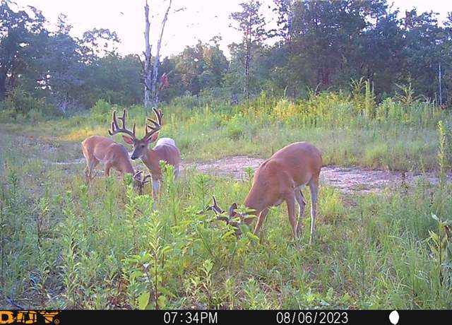 Property at 000 Hwy 41, Cecil, AR 72930