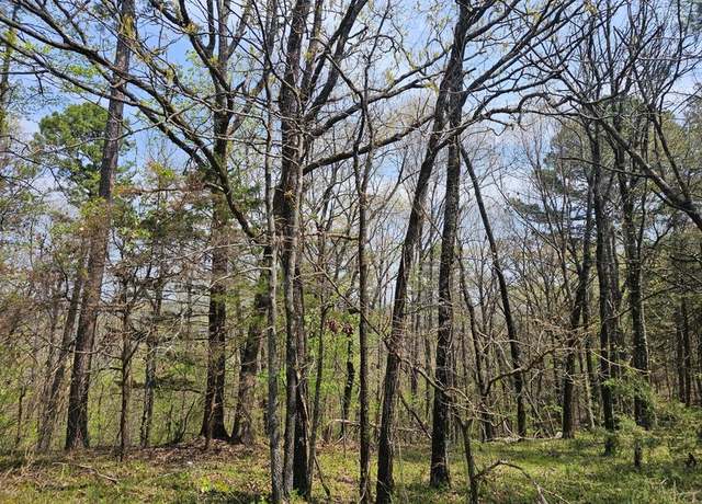 Property at W Chimney Rock Road West, London, AR 72847