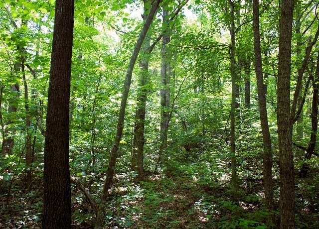 Property at TBD Gum Springs Rd, Parthenon, AR 72666