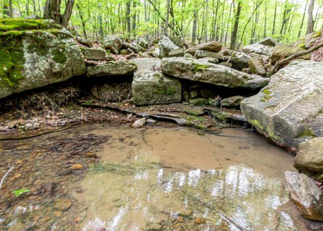 Property at Onda Mountain (wc 213), West Fork, AR 72774
