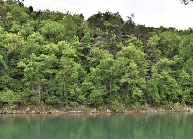 Property at 1217 Cr 231, Eureka Springs, AR 72631