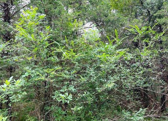 Property at TBD E Cedar Ln, Diamond City, AR 72644