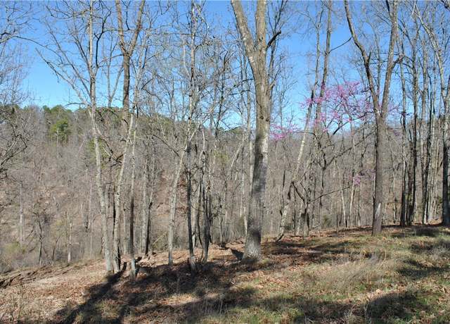 Property at Lot 102A E Robin Rd, Rogers, AR 72756