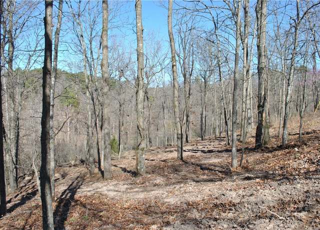 Property at Lot 101 E Robin Rd, Rogers, AR 72756