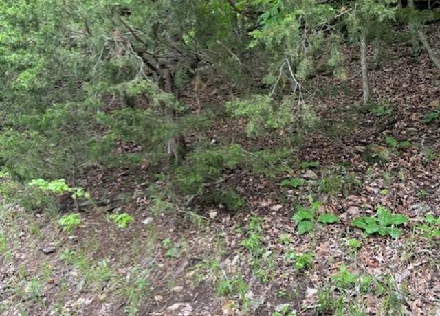 Property at Hannah Ln, Eureka Springs, AR 72631